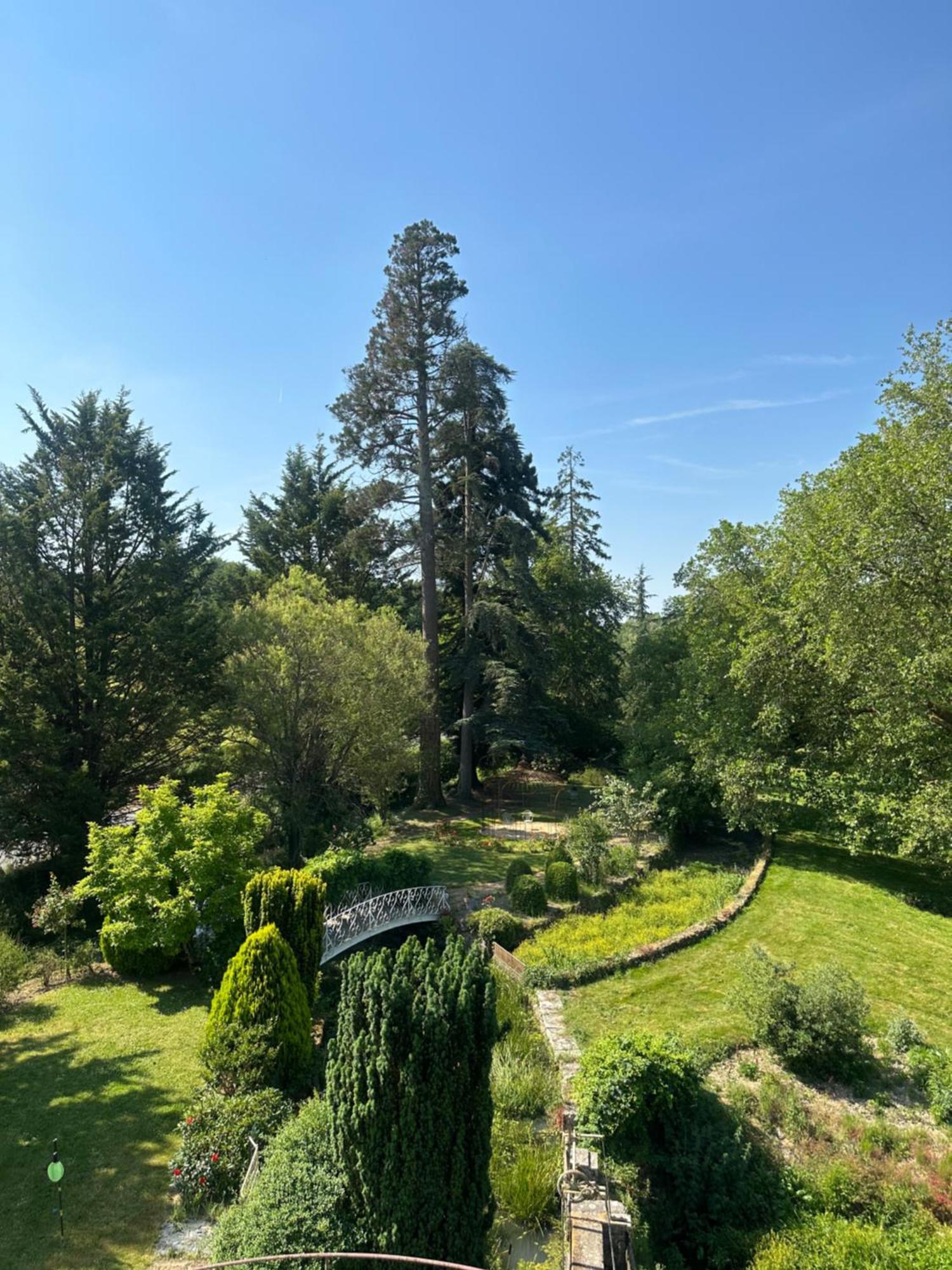 Le Moulin De Francueil Bed & Breakfast Exterior photo