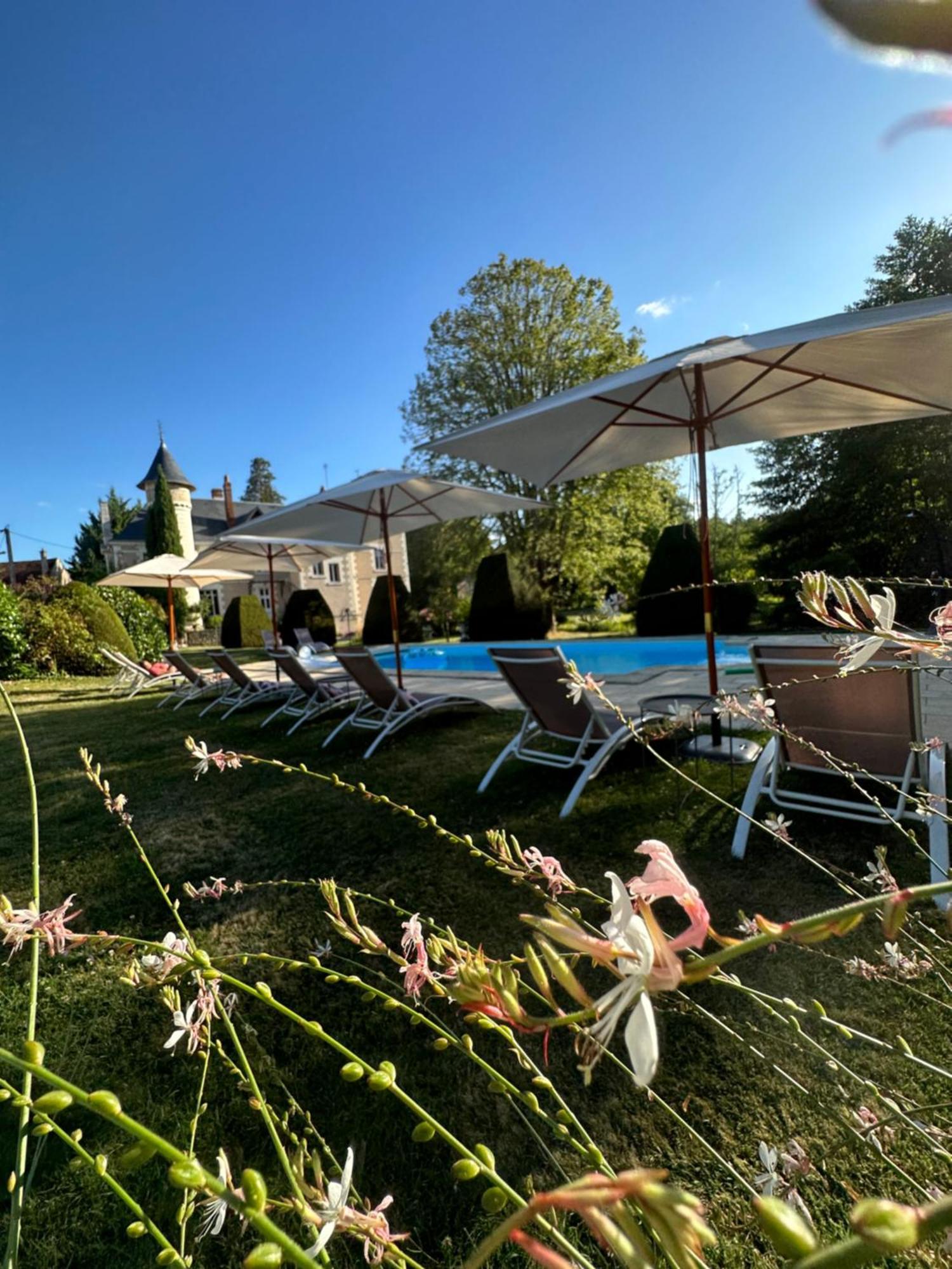 Le Moulin De Francueil Bed & Breakfast Exterior photo